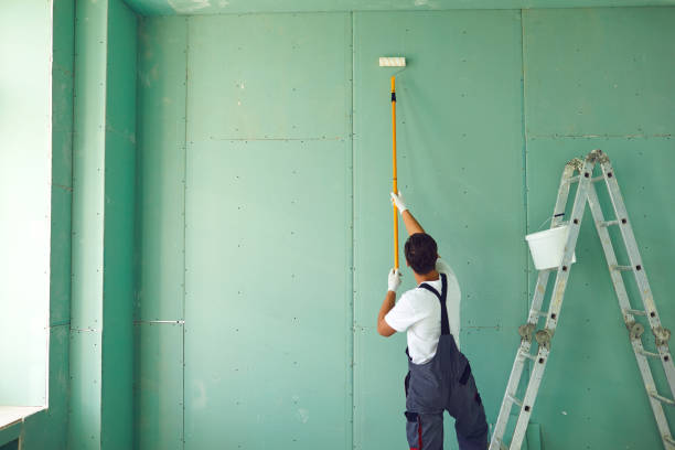 Best Comprehensive Air Testing for Mold Contaminants  in Shepherdstown, WV