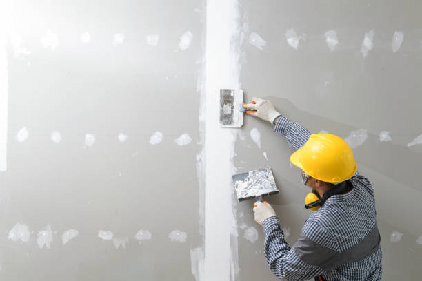 Best Mold Damage Restoration  in Shepherdstown, WV