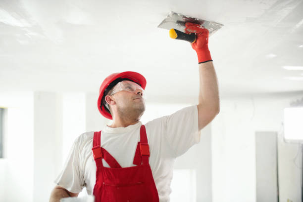 Best Mold Removal for HVAC Installations  in Shepherdstown, WV