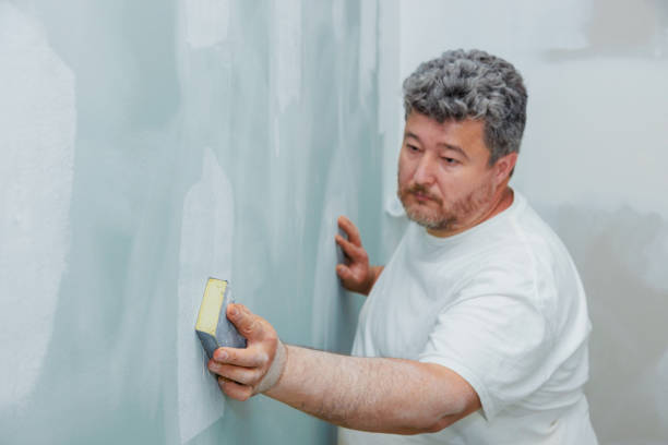 Best Residential Mold Inspection & Testing  in Shepherdstown, WV