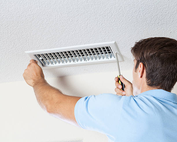 Best Industrial Mold Remediation  in Shepherdstown, WV