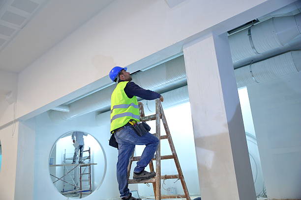 Best Post-Construction Mold Inspection  in Shepherdstown, WV