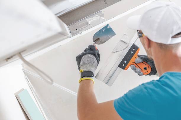 Best Asbestos and Lead Testing During Mold Inspection  in Shepherdstown, WV